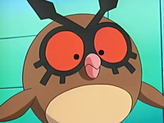 Hoothoot