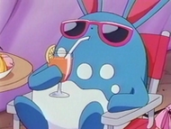 Azumarill tomando el sol.