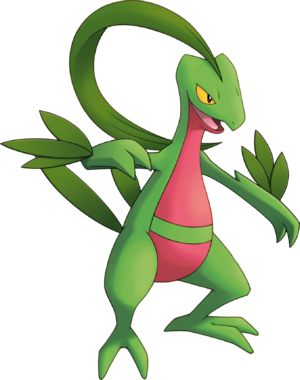 Grovyle en Pokémon Mundo misterioso: Exploradores del cielo.