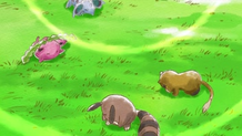 ... después de eso Wigglytuff curó a cada uno de los Pokémon heridos de la villa.