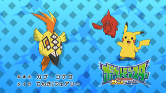 Tapu Koko coraza cerrada.