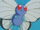 Butterfree