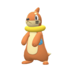 Buizel