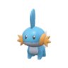 Mudkip