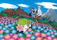 Encuentro con Shaymin en la roca blanca.