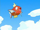 Magikarp