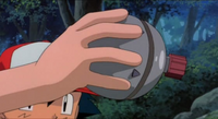 Pokébola/Poké Ball de Sam.