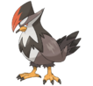 Staraptor.png