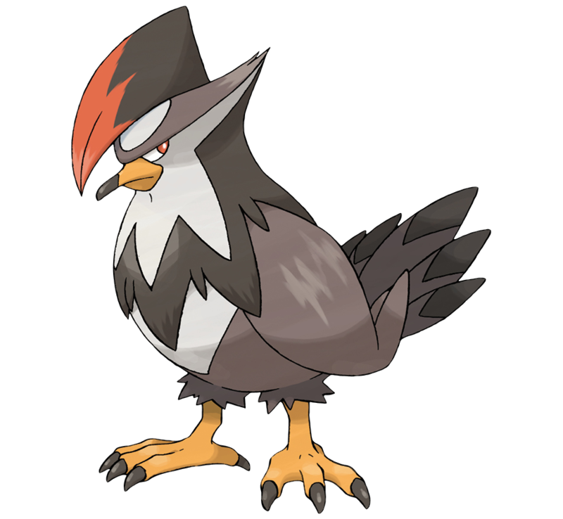 Staraptor WikiDex, la enciclopedia Pokémon