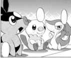 Snivy