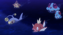 Magikarp