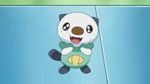 Oshawott