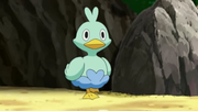 EP791 Ducklett.png