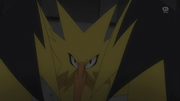 PO04 Zapdos.png