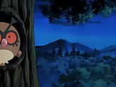 Hoothoot