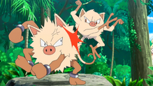 Primeape