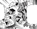 Arcanine en PPM024