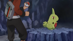 Larvitar