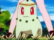 Chikorita