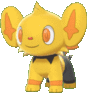 Imagen de Shinx variocolor hembra en Pokémon Espada y Pokémon Escudo