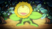 EP606 Meowth disfrazado de Sunflora.png