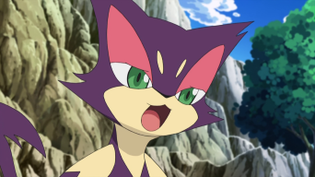 Imagen de Purrloin