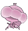 Imagen posterior de Jellicent hembra en Pokémon X, Pokémon Y, Pokémon Rubí Omega, Pokémon Zafiro Alfa, Pokémon Sol, Pokémon Luna, Pokémon Ultrasol y Pokémon Ultraluna