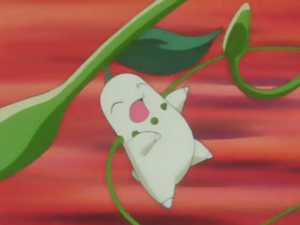 ...y se lo devuelve a la Chikorita de Ash con el doble de daño.
