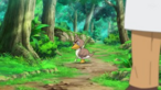 Farfetch’d