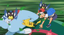 Rookidee