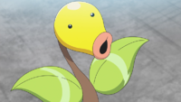 EP1149 Bellsprout.png