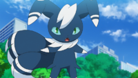 EP1170 Meowstic.png