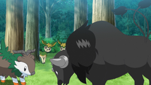 Skiddo