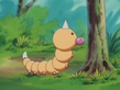 Weedle