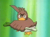 Farfetch’d usando corte.