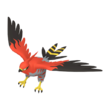 Talonflame HOME.png