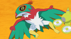 Hawlucha debilitado.