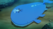 EP1177 Wailord.png