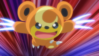 Teddiursa de Araceli usando cuchillada.