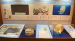Exhibición de Omanyte