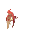 Imagen de Talonflame variocolor en Pokémon Espada y Pokémon Escudo