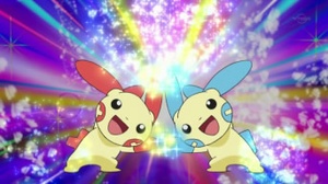Plusle y Minun usando refuerzo.
