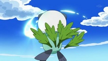 Oshawott de Ash usando concha filo.
