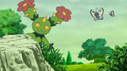 EP1139 Maractus y Butterfree.png