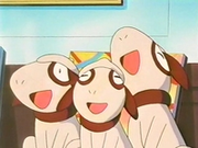 EP199 Smeargle (4).png