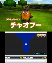 Aquí se muestra a Pignite como jefe final en la pantalla superior y la posición del Pokémon protagonista en la inferior.