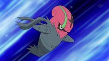Accelgor