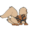 Arcanine