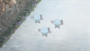 GEN01 Wooper.png