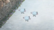 Wooper